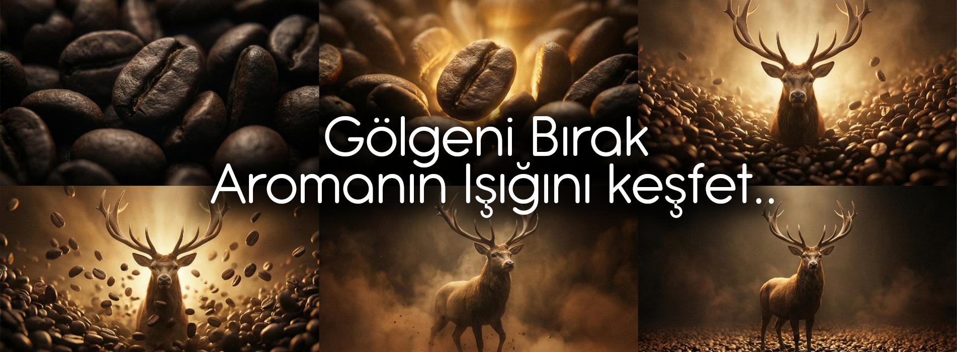telefon kılıfları